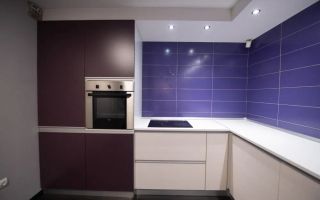 Apartament 2 camere, 65 mp, parter cu acces separat – Zona Lipovei (Iulius Mall) - Poză 2