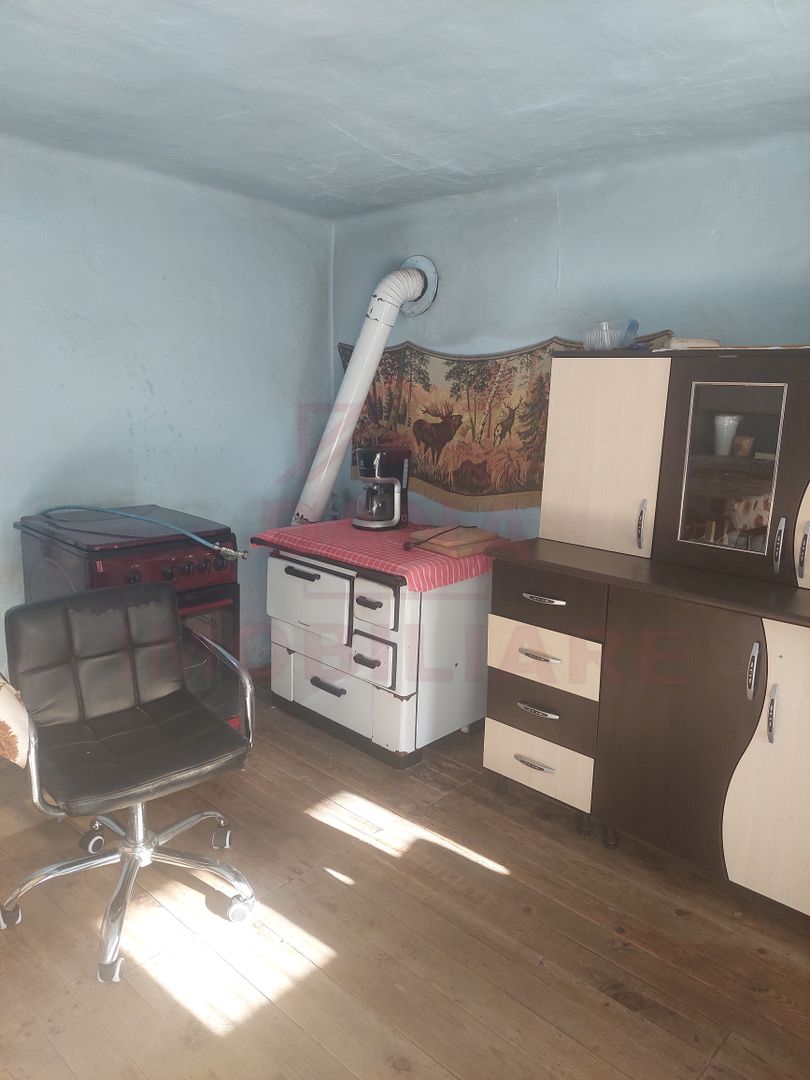 CASĂ PĂLTINIȘ\JUD. CARAȘ-SEVERIN\ COMISION 0% - Poză 19