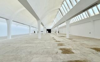 Hală industrială de producție/depozitare – Jilava, Str. Gării, 1797 mp - Poză 4