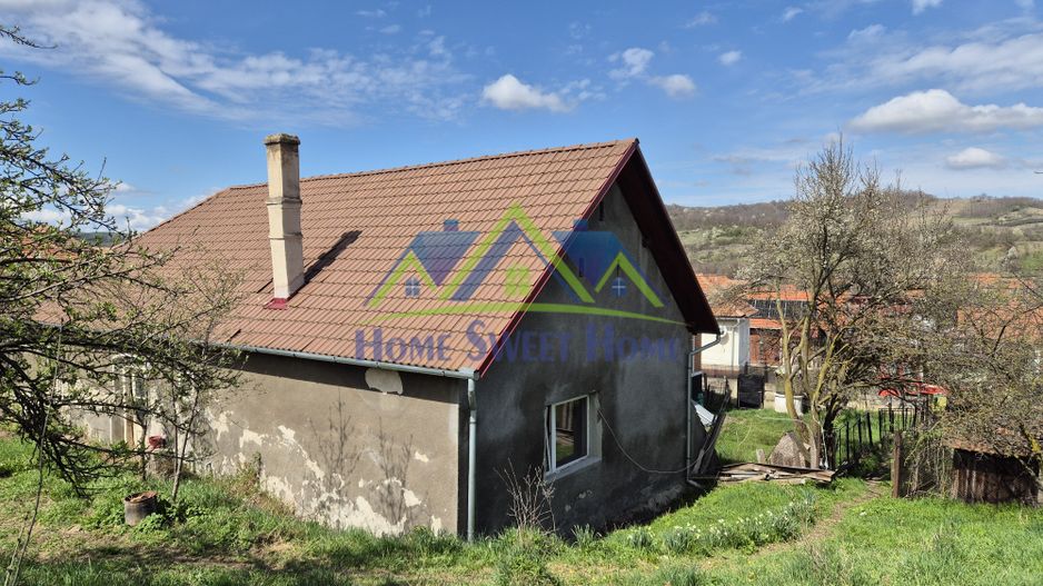 Vand casa 6 camere in Silvasul de Jos, 258mp si 3787mp teren! - Poză 4