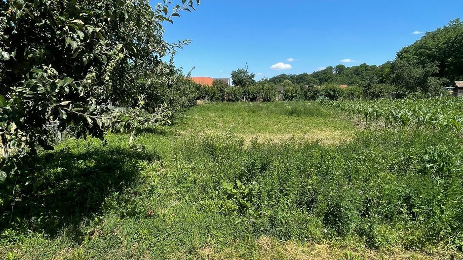 Casa ,curte și gradina.Teren cu 2700 mp. - Poză 9