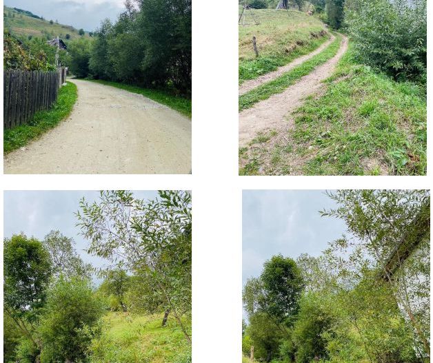 Teren Moieciu de Jos - Poză 2