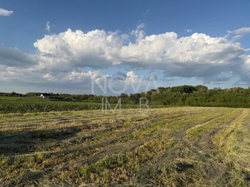 Teren de vânzare în Ocna Sibiului – Locație premium lângă lacurile sărate - Poză 2