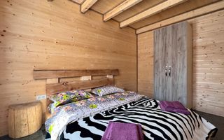 Apartament 1 camera in regim hotelier, Casa TIMIS - Poză 7