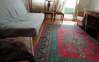 Apartamet 2 camere linga parcul Plumbuita - Poză 1