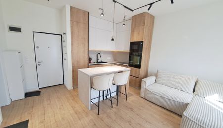 Apartament ultrafinisat la casa + curte, parcare, zona Gruia - stadion CFR