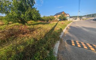 Teren intravilan 1.600 mp Mioveni – Zona Pruni - Poză 2