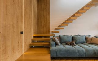 Proiect Modern in Dumbravita - Poză 3