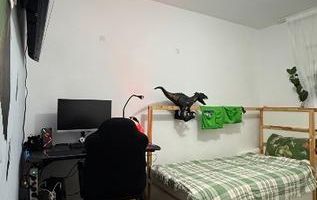 Apartament 3 camere decomandat - Poză 4