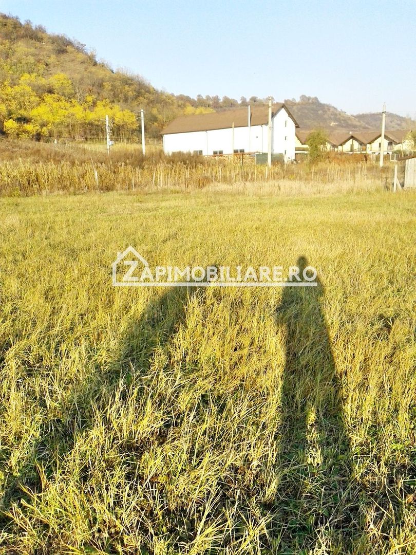 Teren 780 mp, Livezeni cu PUG aprobat recent,asfalt - Poză 13