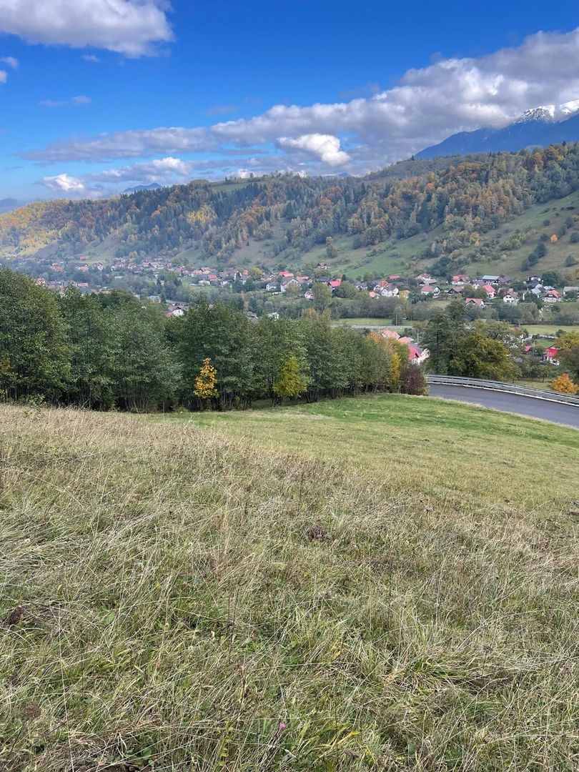 Teren extravilan cu priveliste catre Bucegi – Moieciu de Jos 4.700 mp - Poză 8