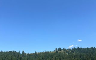 OPORTUNITATE ÎN INIMA NATURII-Teren intravilan, COMANDĂU, COVASNA - Poză 5