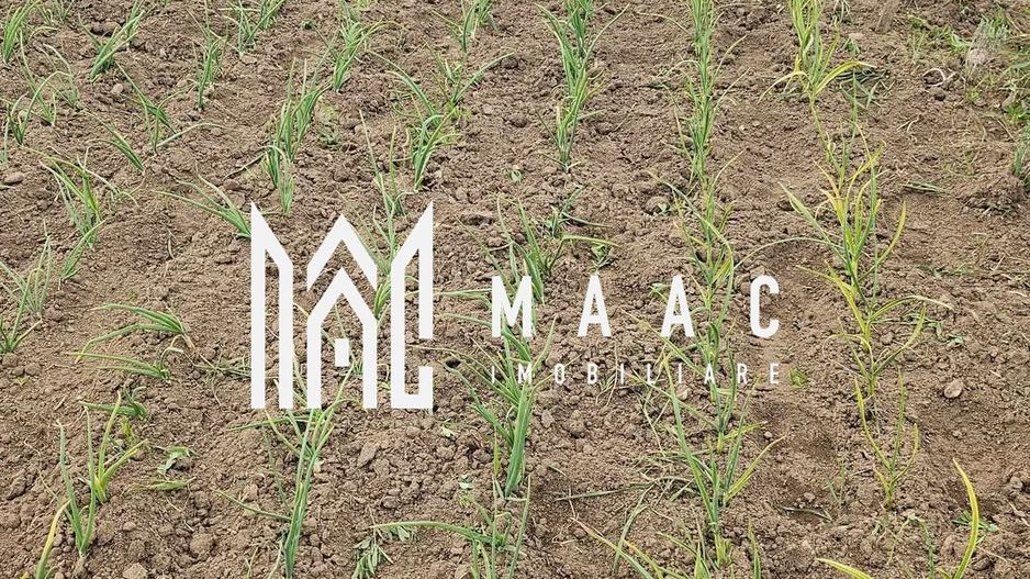 Teren intravilan de vânzare | Râmnicu Vâlcea | 2.800 mp - Poză 2