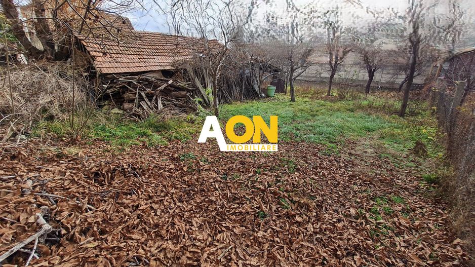 Casa Individuala, 3 Camere, Suprafata 90 mp, Teren 739, Zona Cetate - Poză 3