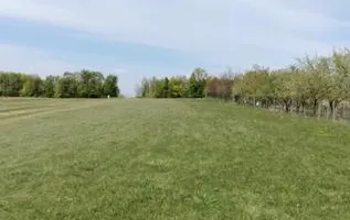 Teren extravilan 7.200 mp, Bordea - Grajduri, oportunitate investiție - Poză 14