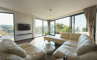 Panoramic View to Herastrau Lake, 5 rooms apartment, 0% commission - Poză 14