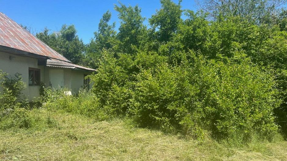 De Vanzare Gospodarie Cerbu - Poză 6