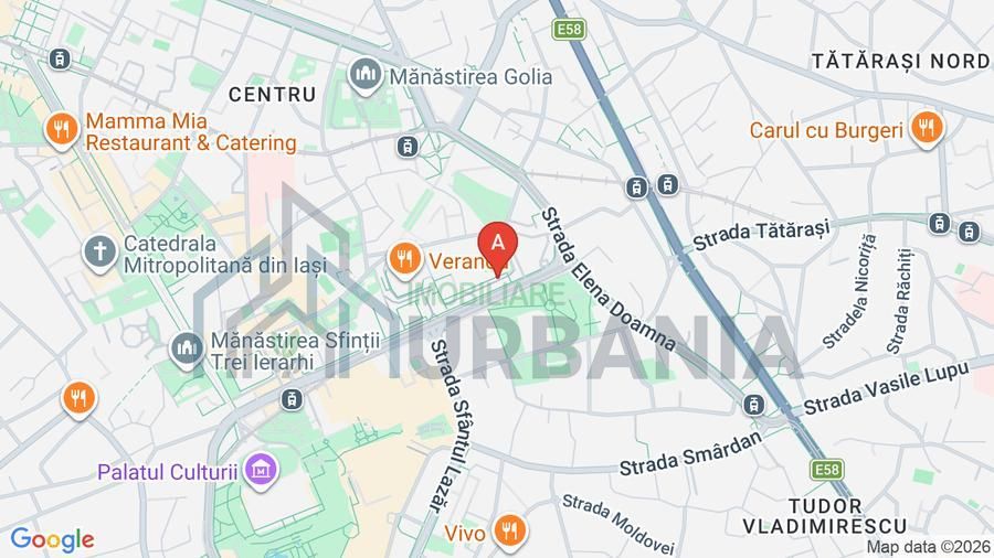 Închiriere Spațiu Comercial Premium, 240 mp, Bd. Anastasie Panu, Iași - Poză 16