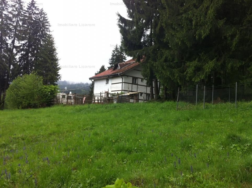 Teren intravilan Cotul Donului,pretabil Hotel/pensiune. - Poză 10