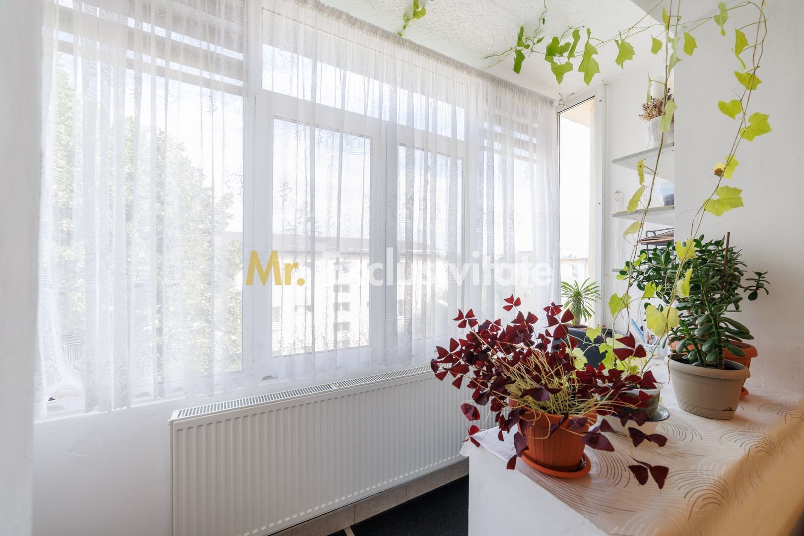 Apartament 2 camere, etaj 3, zona Traian - Poză 12