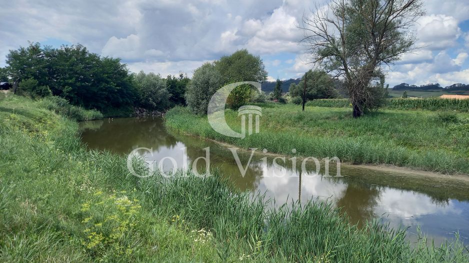 Teren Intravilan de 12.000 mp cu lac de 900mp,in Albesti-Sighisoara - Poză 5