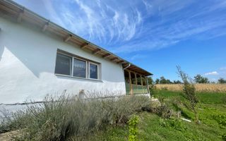 Casa+teren 3100 mp, Balda, jud. Mures - Poză 28