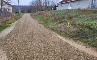 Teren extravilan Paleu - Poză 4