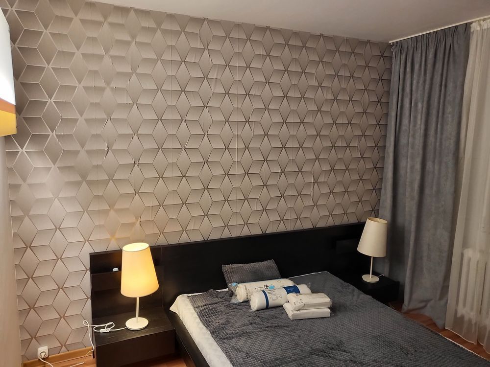 Inchiriere Apartament 3 Camere Nciolae Grigorescu Pet Friendly - Poză 6