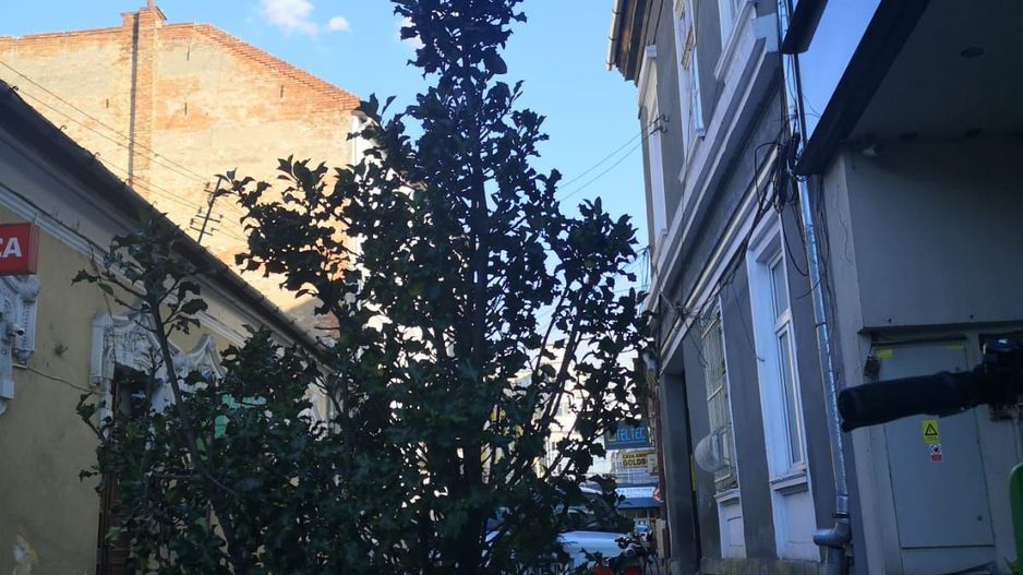 Cladire ultramoderna de birouri I 1.350mp I Ultracentral I COMISION 0% - Poză 39