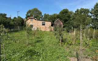 Casa de Vanzare  GORNESTI- Renovata 2025 semifinisata. - Poză 5