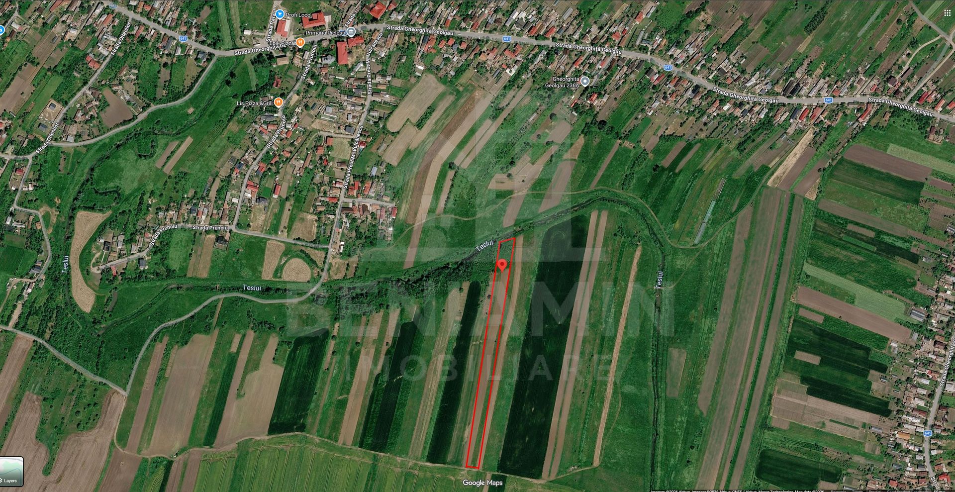2 loturi de teren - total 9000mp - Pielesti - Poză 1
