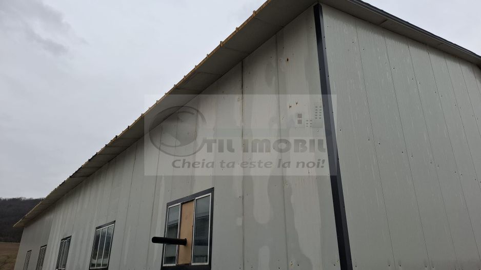 Hala de inchiriere 596 mp str. Trei Fantani - Poză 6