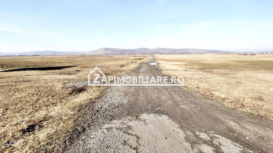 Teren intravilan 20.347 mp in Ungheni - Poză 3
