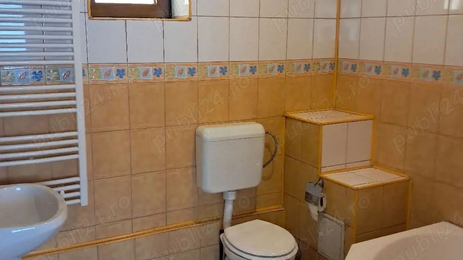 Spatiu comercial - Brâncoveanu - Poză 5