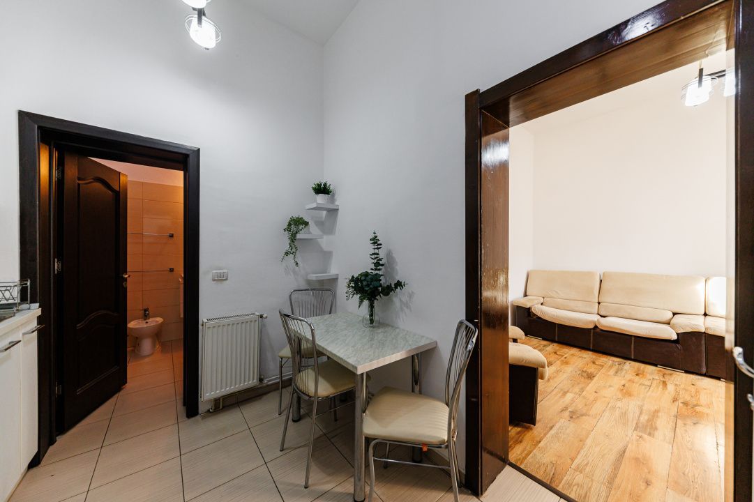 Apartament cochet – pe malul Begai, aproape de centrul orasului! - Poză 11