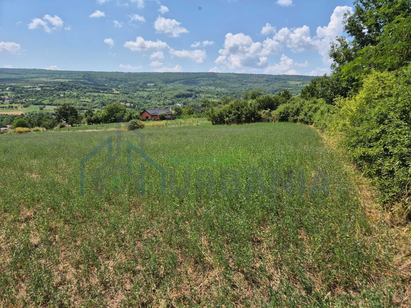 Teren intravanal de vanzare in Tomesti-Goruni, Iasi - Suprafete intre 700 si 800 mp - Poză 2