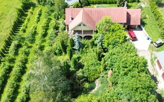 PROPRIETATE PREMIUM CU 4.534 MP TEREN- REGHIN STRADA POMETULUI - Poză 1