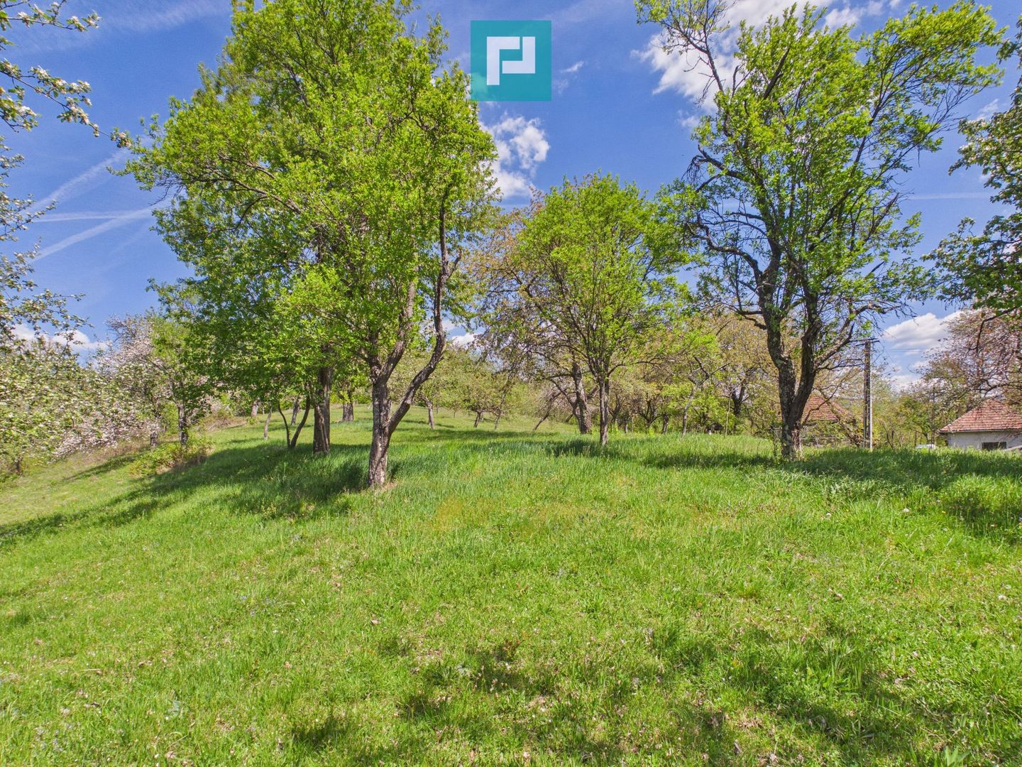 Proprietate rară cu 24.270 mp, în Măgulicea, Arad! - Poză 29