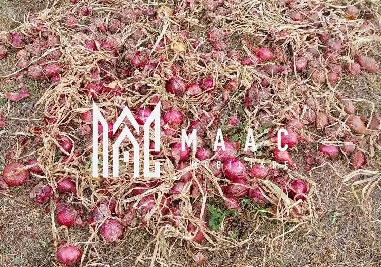 Proprietate cu 60000 mp pamant la pret de apartament - Poză 11