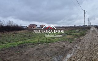 NECTORA IMOB-Teren Intravilan 501 mp, cu front 19ml, Nojorid,Utilitati - Poză 1
