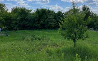 Casa in Comuna Geaca - Poză 14