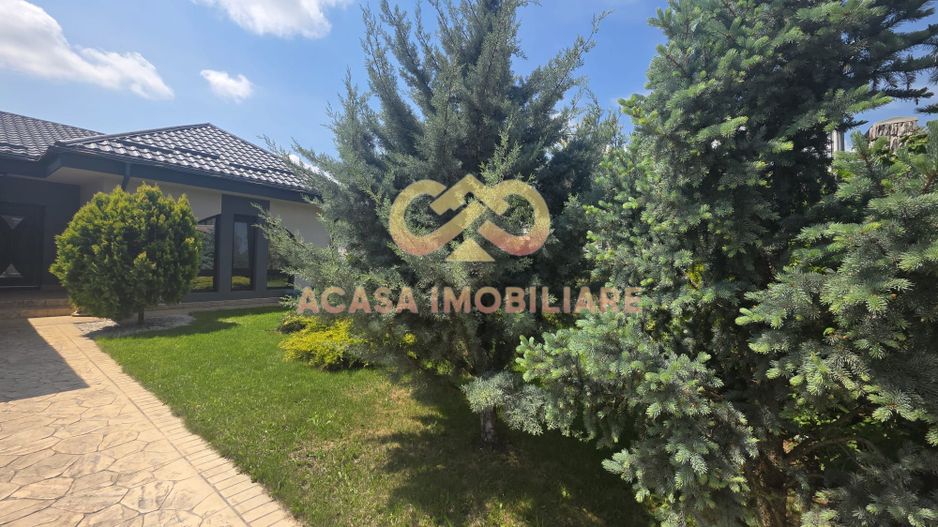 BUCIUM VILA 5 CAMERE 193MP  TEREN 1700MP - Poză 28