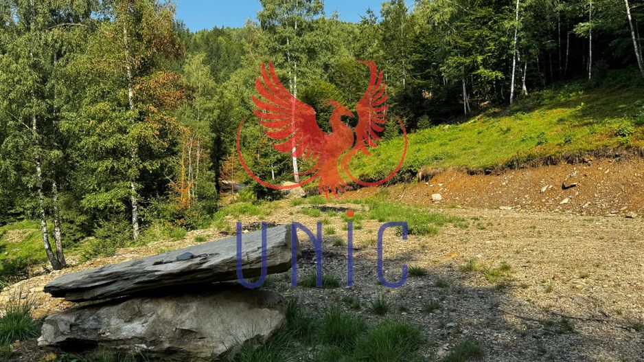 18000 mp de natura pura ,Lupeni, langa Straja - Poză 31