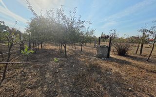Casa 4 Camere, 756mp Teren, Zona Barabant - Poză 3