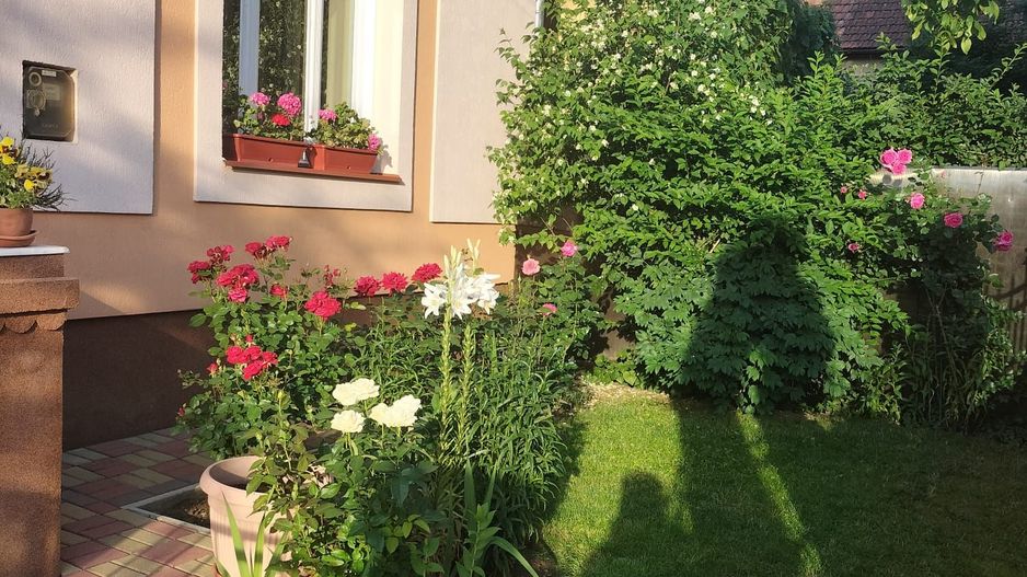 Ag EUROPA vinde casa individuala zona TITULESCU - Poză 2