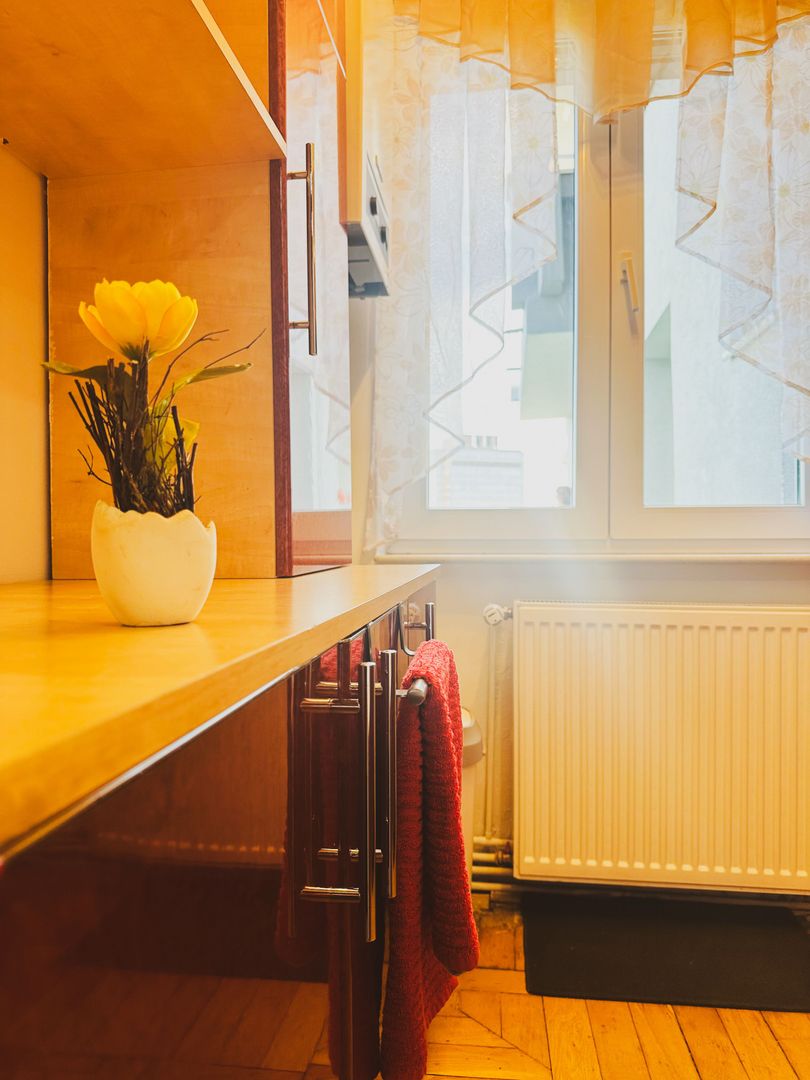 Apartament 1 camera - Iulius Town - Parcul Botanic - inchiriere - Poză 4