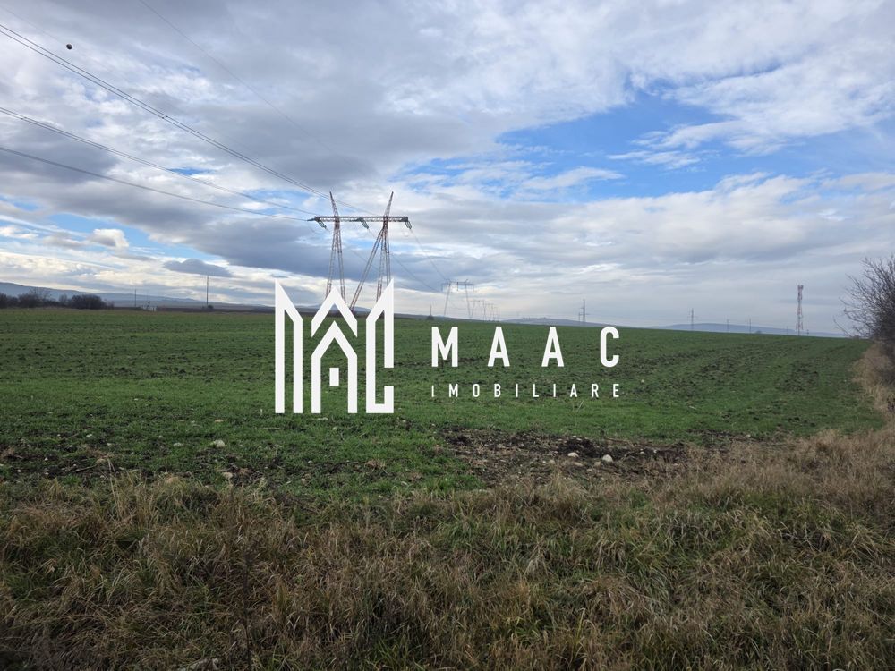 Teren intravilan | 29.300MP | Miercurea Sibiului - Poză 2