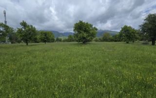 teren intravilan - 2 minute de centru Prundu Bargaului - 26 parcele - Poză 2