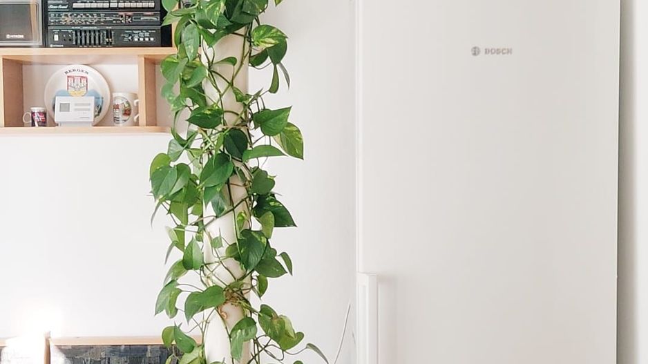 Parcul Trandafirilor, garsoniera in bloc de apartamente, loc parcare - Poză 9