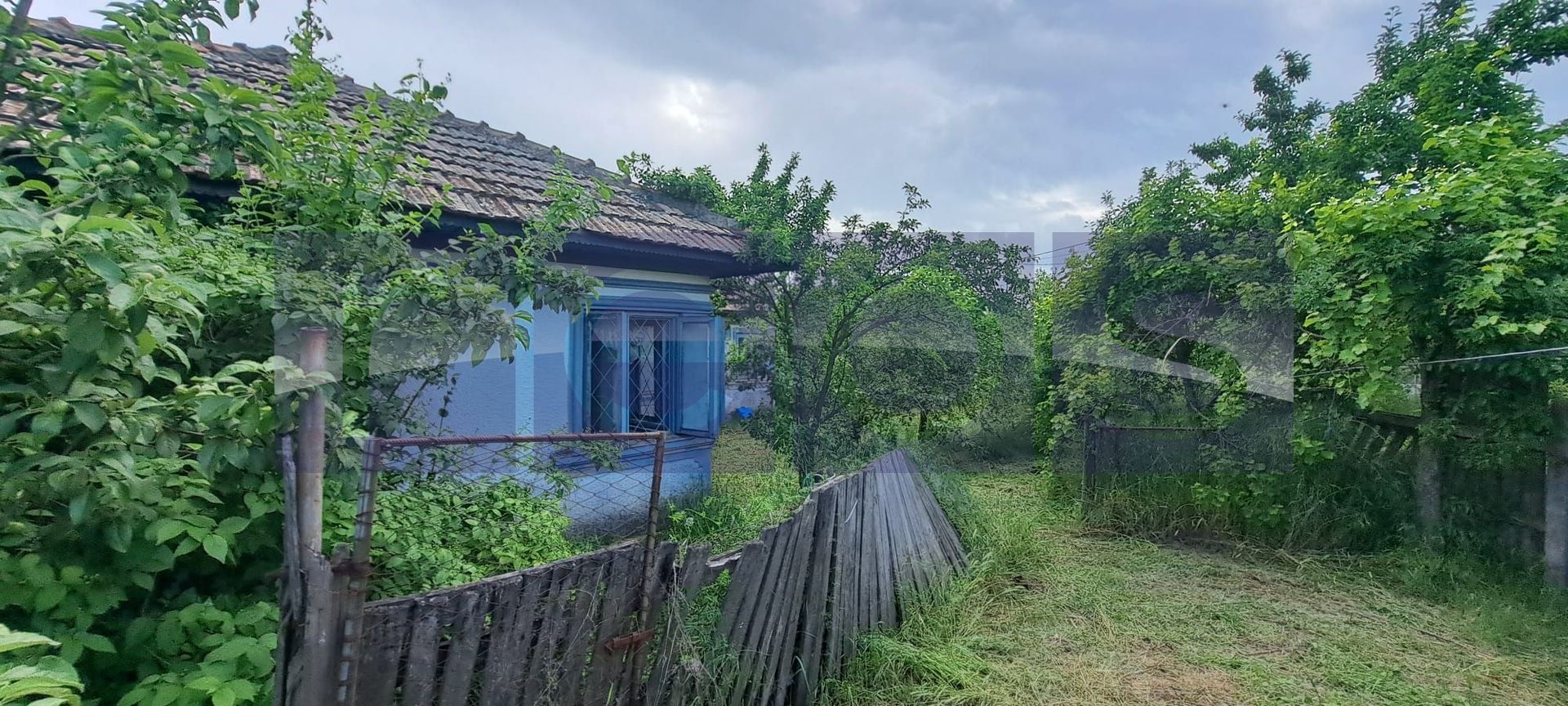 VANZARE CASA | TEREN 2500 MP | LIVADA SI VIE | SAT BREBINA – SCRIOASTEA - Poză 1